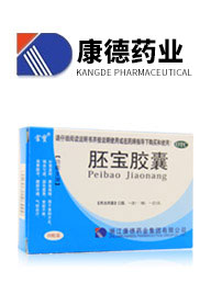 浙江康德药业集团有限公司